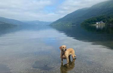 Lomond View Lodge - Foto 13