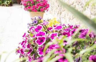 La Bella Vita - Luxury Holiday House close to Corfu Town - Photo 32