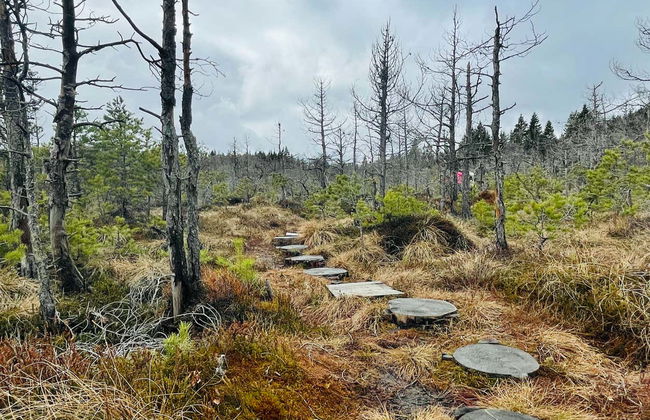 Excursión al lago Santa Ana - Foto 7
