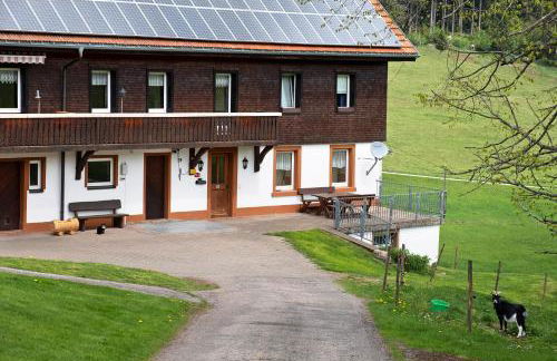 Rutscherhof Breitnau - Foto 26