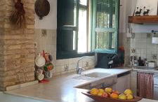 Finca Olivo Llorón - Foto 21