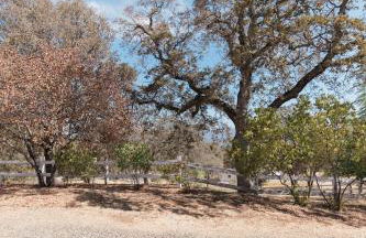 Moon Ranch - a gateway to Yosemite - Photo 49