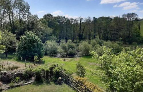 Cottage - Sleeps 2 - River Lynher walks & fishing - Photo 8