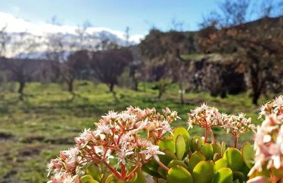 Cortijo AguaChá - Foto 30