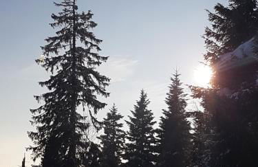 Ehrenmättlehof Faißt - Foto 41