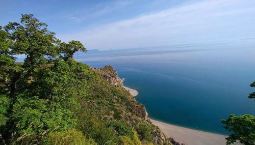 Oliveri house - Foto 4