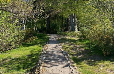 Easdale House Apartments - Foto 42