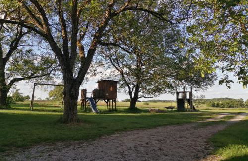 Ferienwohnungen Waldmann - Foto 5