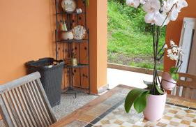 Haus Panorama mit Alpenblick - Foto 4