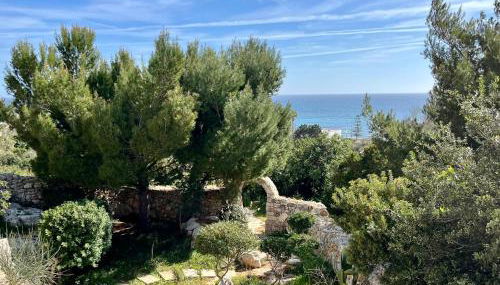 Casa delle sorgenti - Foto 4, Garden, Garden view