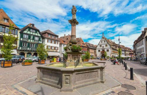 Escale Im Elsass - Foto 11