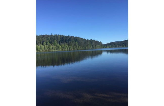 Appealing Apartment in Lenzkirch - Foto 13