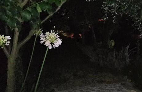 CRASTO PAYVA DOURO NATURE - Foto 24