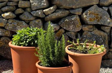 Masía La Costereta - Foto 15