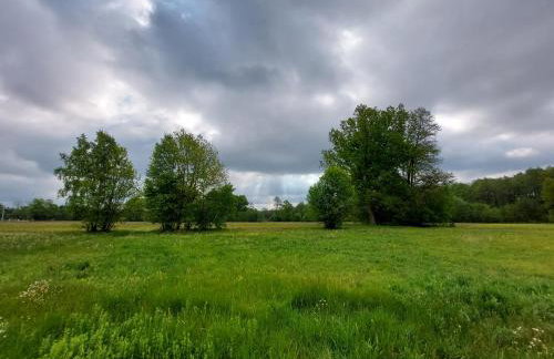 Woodland - dom z sauną i balią - Foto 28