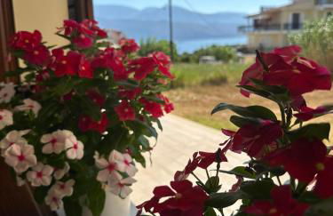 Lixourious Apartment - Foto 2