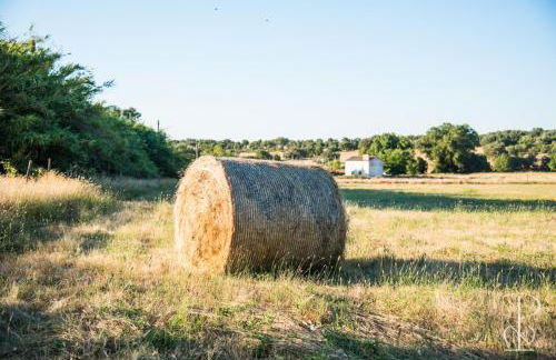 Quinta do Poço Novo - Foto 9