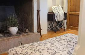 Stirpe nel Bosco - Fiocco - Foto 11