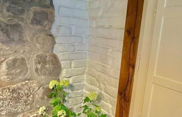 Amuma Justina Etxea , Apartamento en casco antiguo - Foto 25