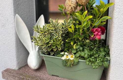 Au chemin des vignes - Foto 2