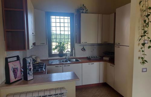 Agriturismo Podere Bianca Maria - Foto 53