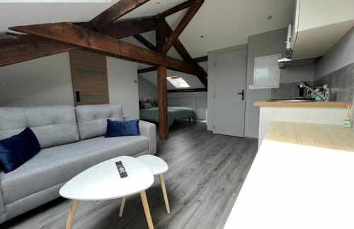 Studio entièrement rénové - Foto 1