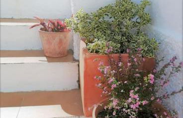 Cozy apartment with private courtyard - Foto 2