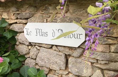 Mas dAmour - Foto 29