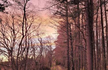 Bespoke Luxury Self Catering Dog Friendly Accommodation - Foto 35