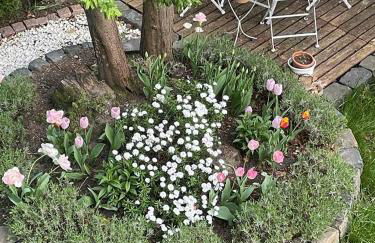 Ideale Unterkunft in Düsseldorf-Nord - Foto 33