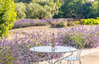 Gîte "La Sainte-Croix", Traditional Provencal House for 8 People, Private Swimming-Pool, Air-Conditioner, Beautiful Scenery - Photo 35