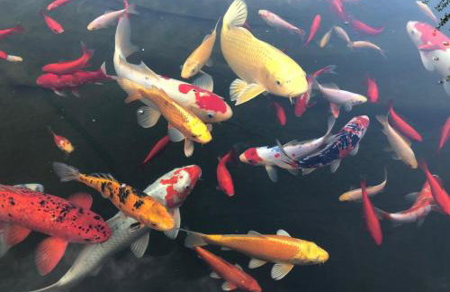 Paradies 1 - Foto 38