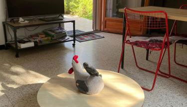 La Pujauline - Foto 5