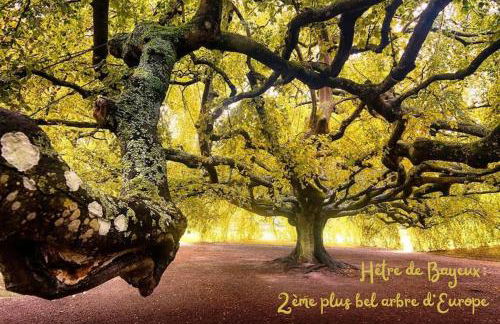 Le Vintage 14 - Photo 30