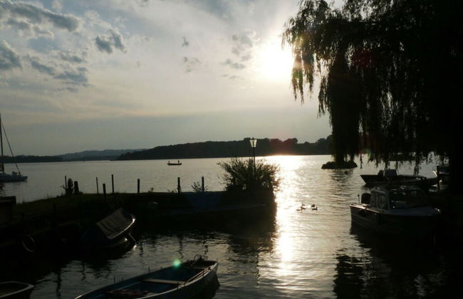 Dennenboomdroom - Photo 17