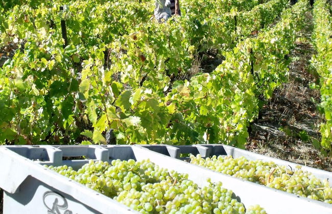 Rivatur - Explorações Turísticas Lda - Foto 46