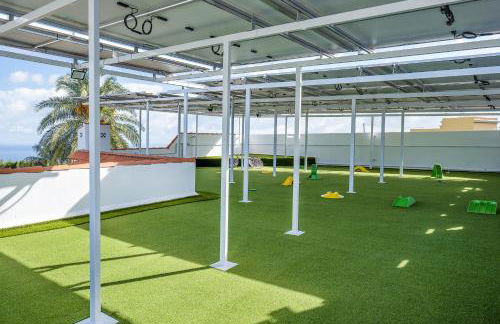 San Benito. Vivienda de lujo con piscina privada - Foto 11