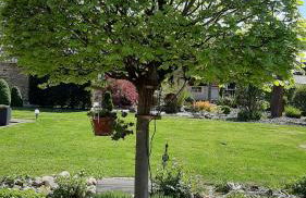 Ferienwohnungen Rurseeblick - Photo 44