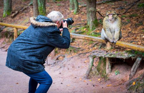 GÎTE **** L'ATELIER DU TONNELIER - Foto 24
