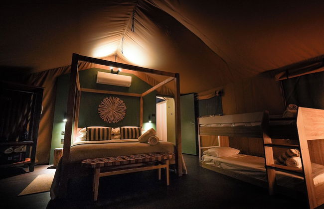 Daintree Beach Resort - Foto 9