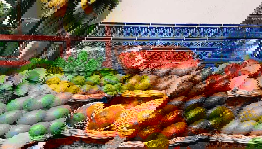 Visite à la découverte des fermes agricoles de Funchal