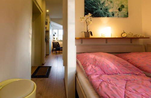 Ferienwohnung am Goethepark im Leipziger Neuseenland - Foto 10