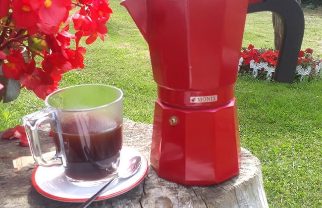 A Cortiña de Canalarrana - Foto 13