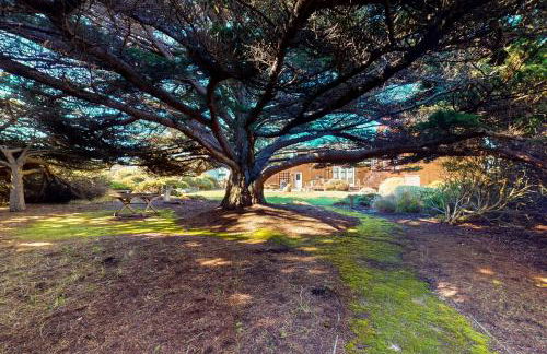 Vista del Mar - Foto 33