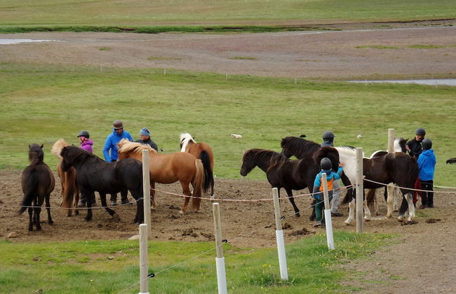 Stóra Ásgeirsá Guesthouse - Foto 11