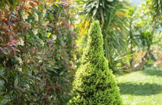 Sousa Horizonte - Louredo - Foto 64