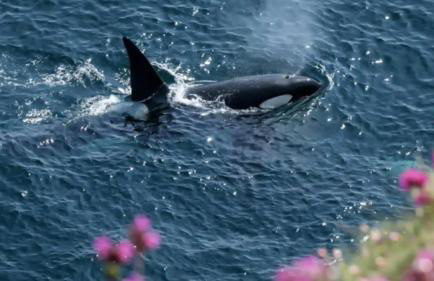 Ella's Hoose - Photo 15