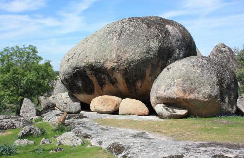 Las Casas del Palomar I & II - Photo 17
