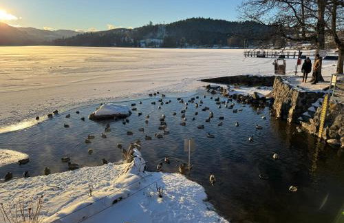 Ferienwohnung Waldrose am Titisee - Foto 22