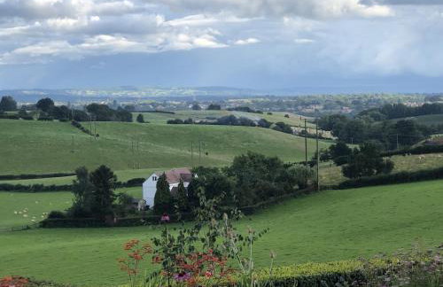 Betula Views - Photo 22